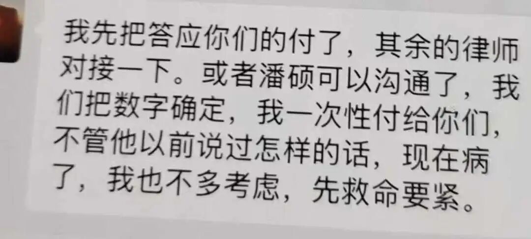 戴琳15日发给潘硕家属的对话截图