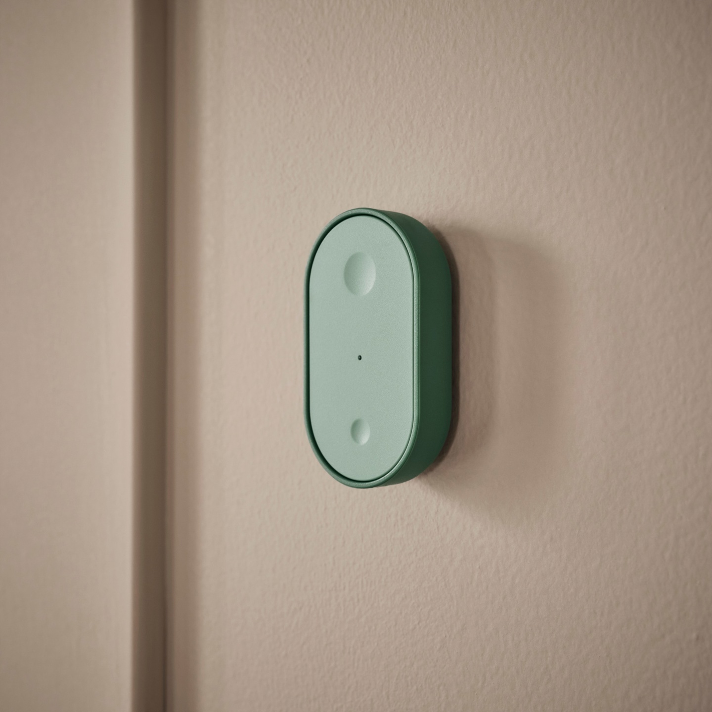 <em>This is the button option.</em>