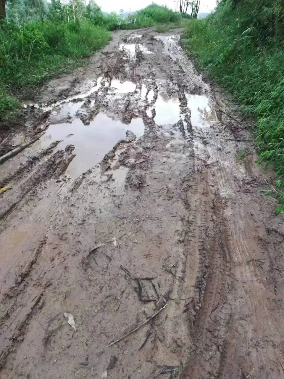 青龙村10组通组土路下雨后泥泞不堪。资料图