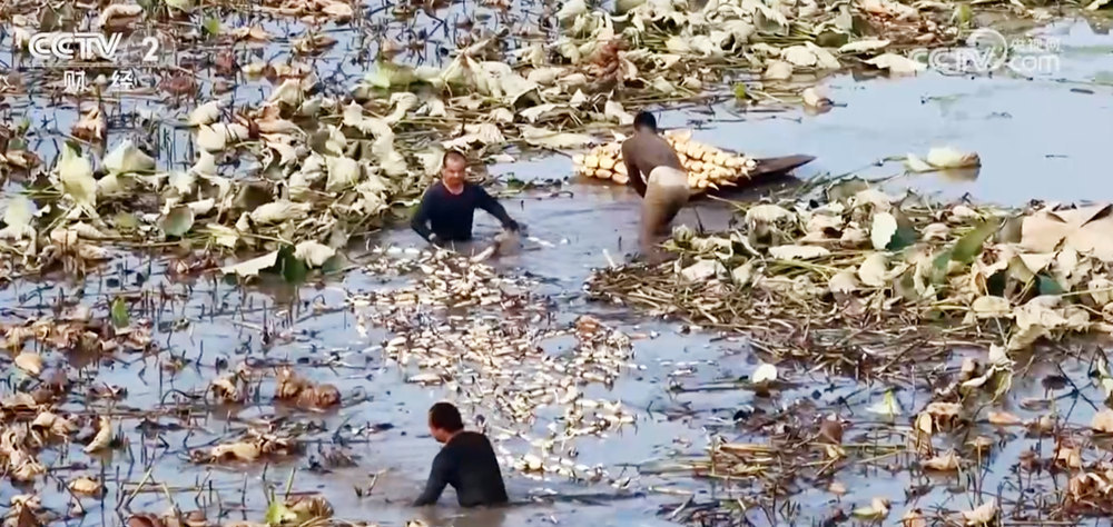 059B10C3318777CD32F890CFFBCB6847B645135C_size191_w1000_h474