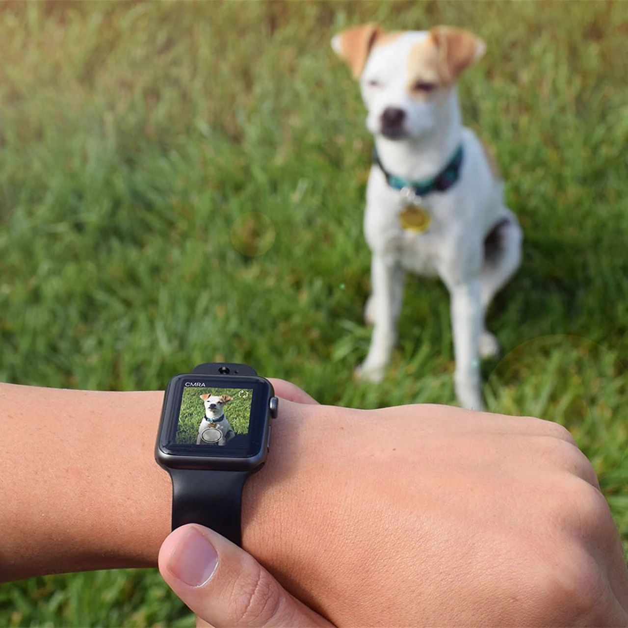 曝苹果计划给 Apple Watch 加上摄像头,和 AirPods 一起组成 AI 可穿戴设备