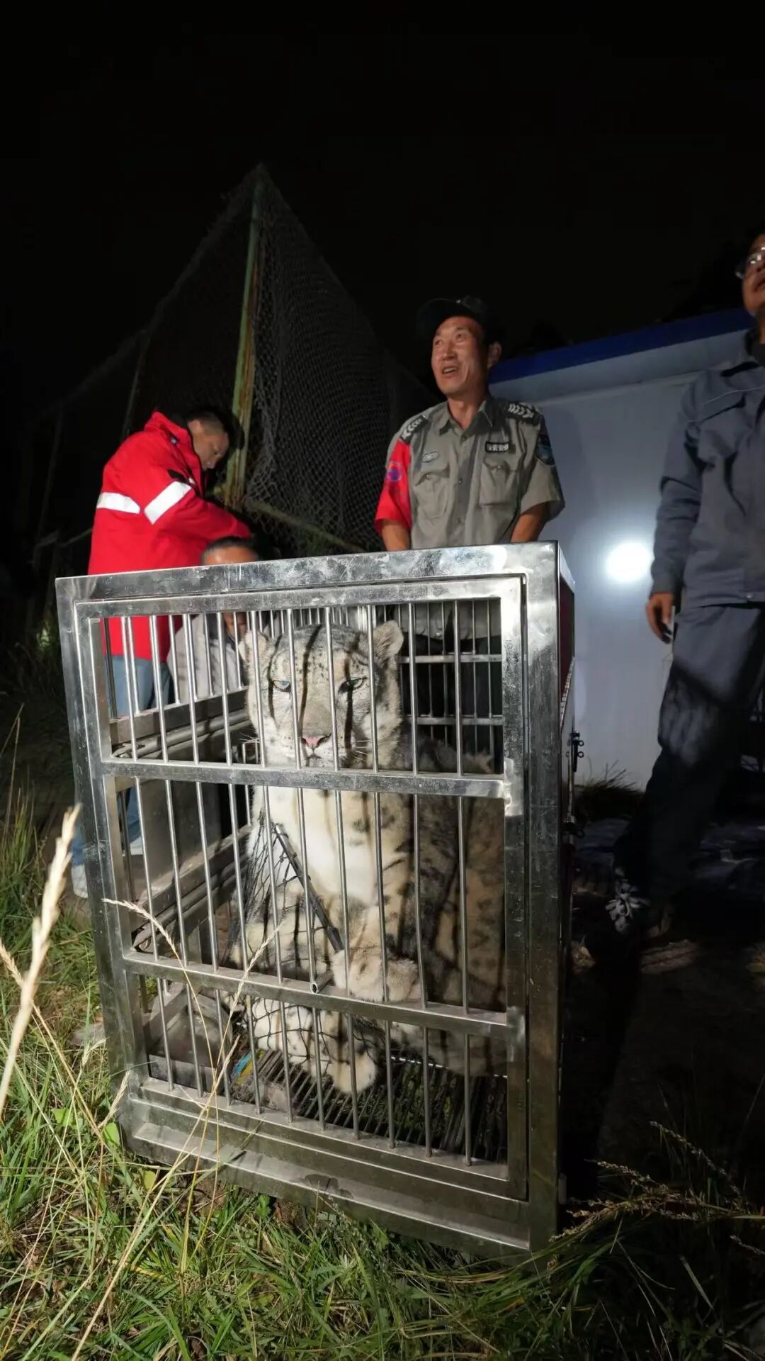 “鬧鬧”被成功救回