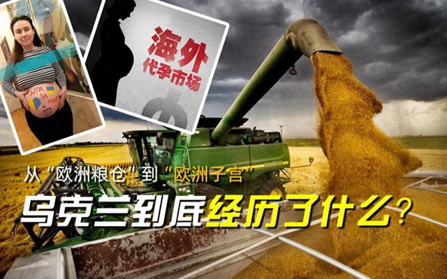 从自废武功到欧洲子宫！战前乌克兰是怎样把我方玩废的？