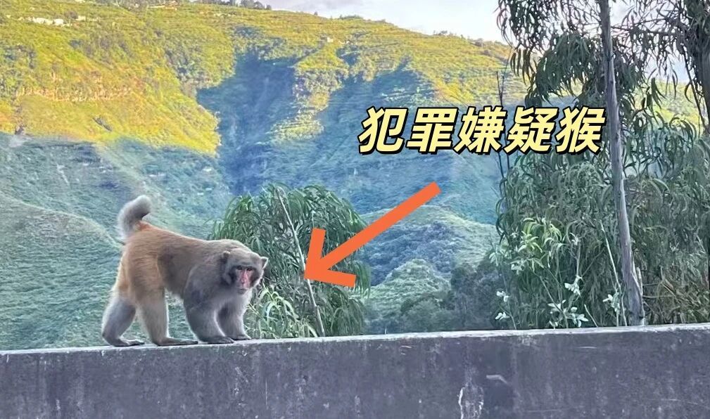 图源：昆明市禄劝县警方