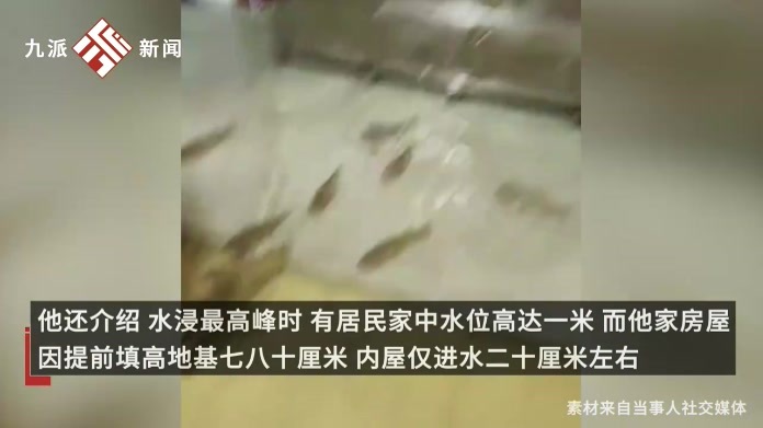 广东饶平降雨后鱼群游进居民家，当事人：水已退，鱼被捉后放回鱼塘