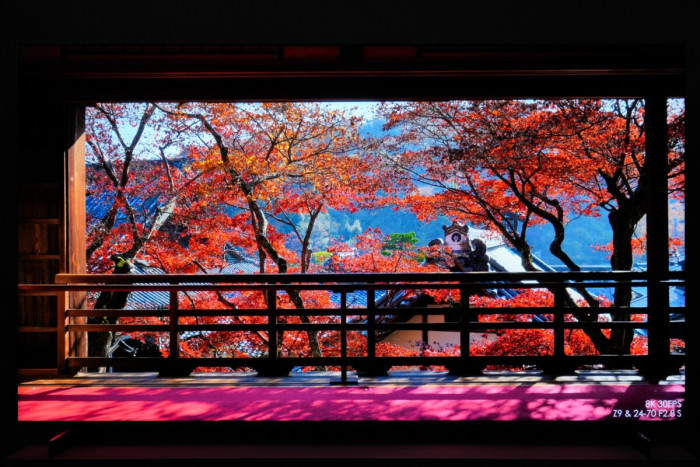 至尊极景 独一无二 TCL Q10L系列Mini LED电视展现第四代液晶电视风采