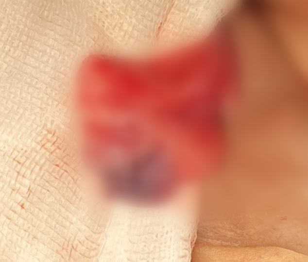b707892157b965a4e696f296c0d5276a.png