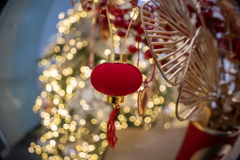 老蛙8-15mm F2.8鱼眼镜头评测 超广角的奇幻之眼