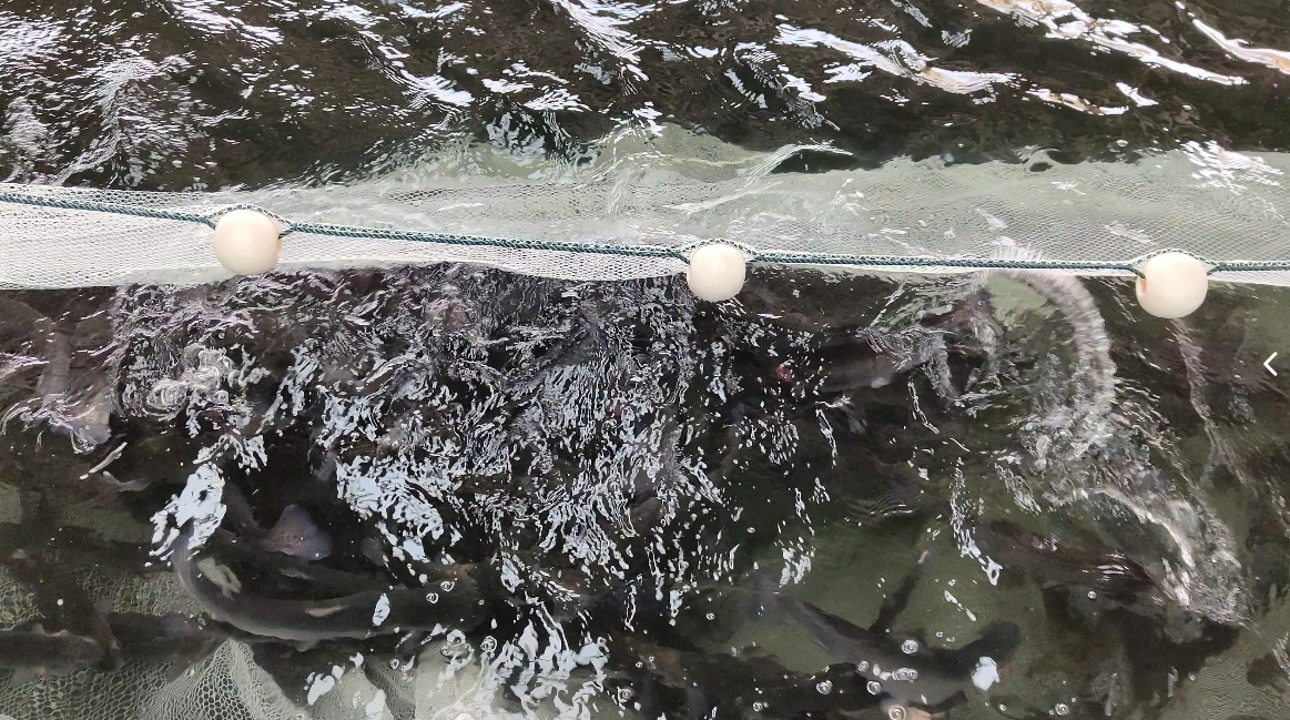 ScreenShot_2025-12-17_131825_132