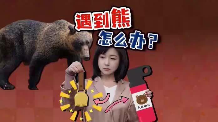驻日记者：日本四步防熊术 五米距离如何逃生？日本熊害逼近东京
