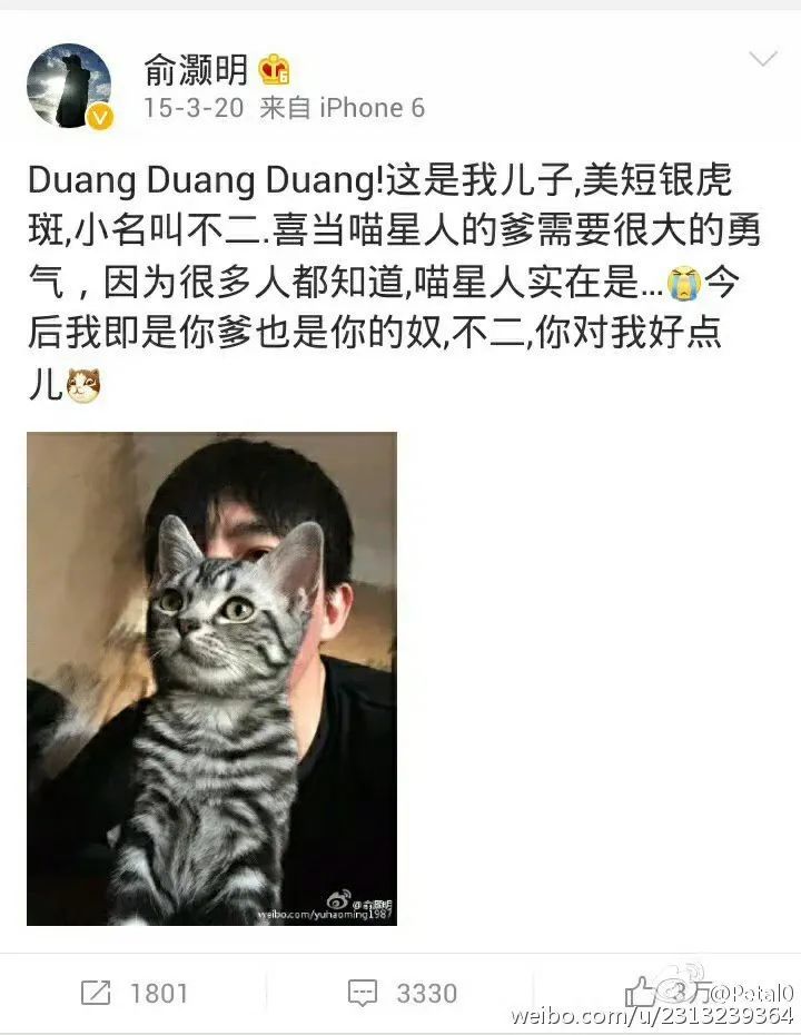吵翻天了…他俩到底结没结婚啊？