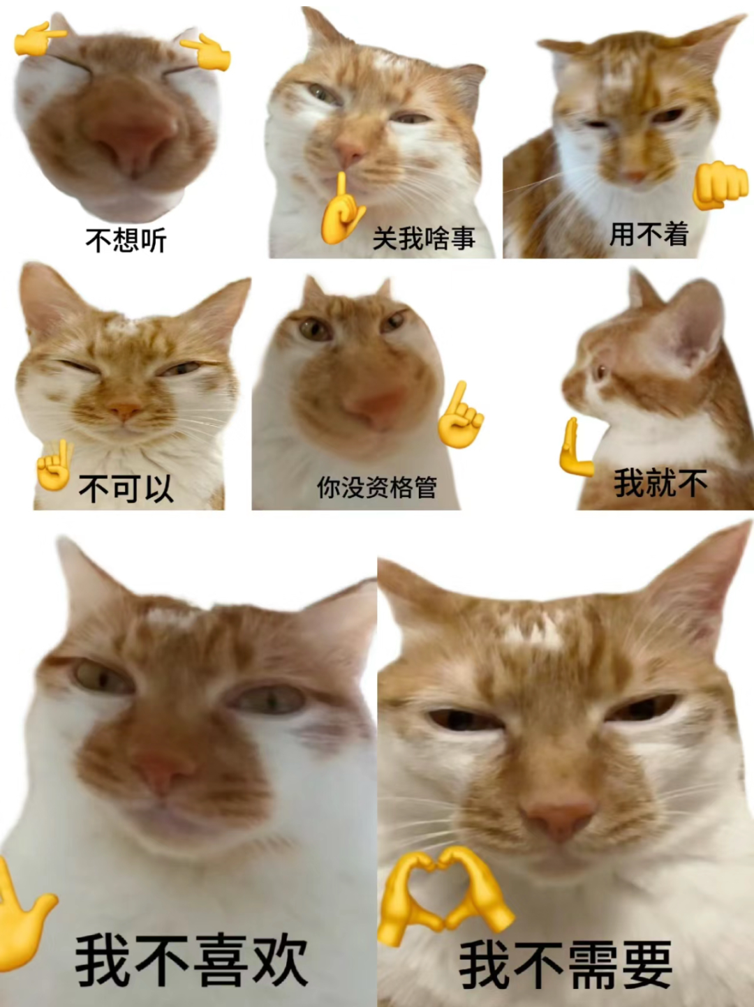 网络流传的讨坏型人格表情包