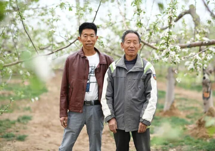 赵永东与儿子赵伟在自家果园合影。新华社记者 张博文 摄
