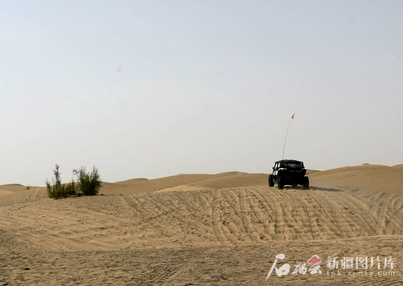 8月12日，游客在塔克拉玛干沙漠开启越野挑战。