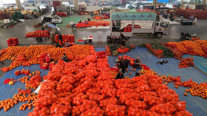 工作人员在山东寿光农产品物流园整理销往全国各地的蔬菜（1月21日摄，无人机照片）。新华社记者 徐速绘 摄