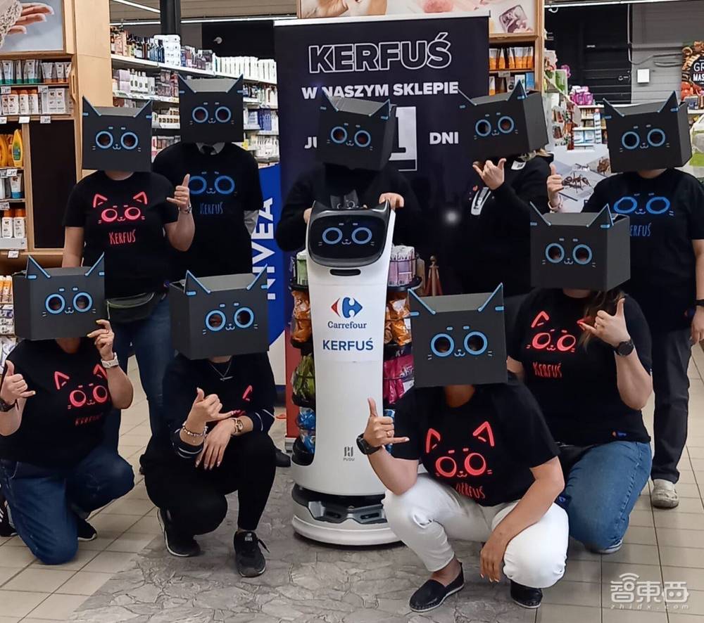 当服务机器人长出手臂,类人形机器人何以撬动万亿市场?