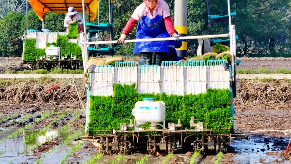 微视频｜“三夏”农忙时节 “数”看各地丰收图景