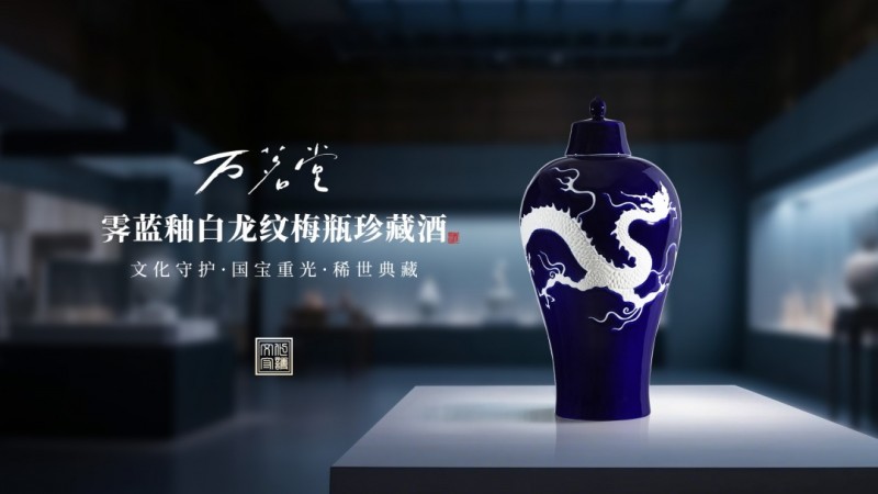 中国美術 瑠璃釉 纏白龍紋 梅瓶 内府 款 時代物(K-XA831)