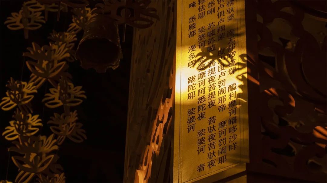 ▲法语光摄