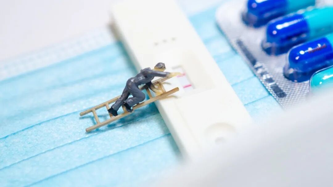 朝着免疫逃逸这个方向的突变,可以让病毒更容易躲避掉机体的免疫识别和攻击丨图虫创意