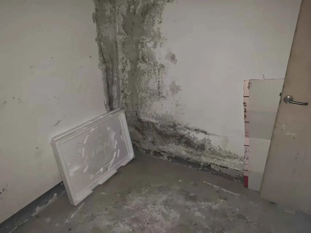 有住户在逃生通道处放置易燃的泡沫板。(图/受访者提供)