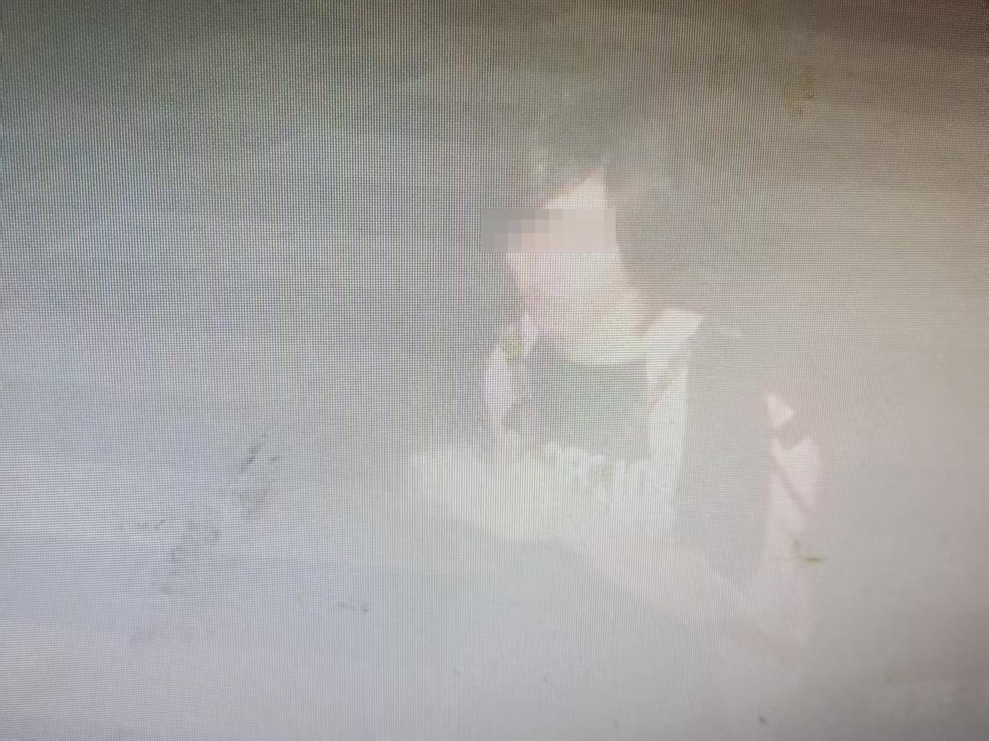 ▲胡一啸失联前影像