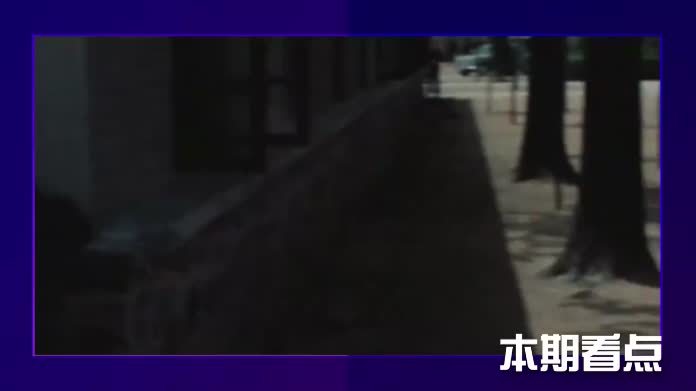 红星领章变星杠，四袋到两袋，军衔变革背后的考量 #硬核深度计划