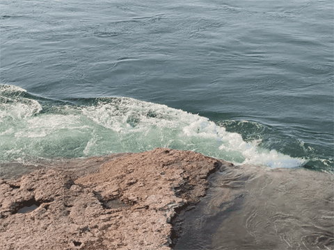 OPPO Reno14实况照片体验 视频能转录全焦段清晰