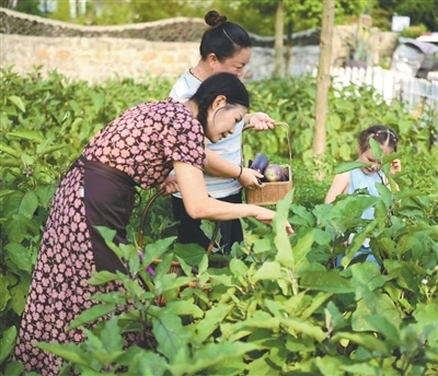 多地探索“美食+文旅体” 特色餐饮,不只满足舌尖