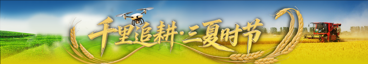 千里追耕·三夏时节丨战三夏保丰收 探索“中原粮仓”里的科技感
