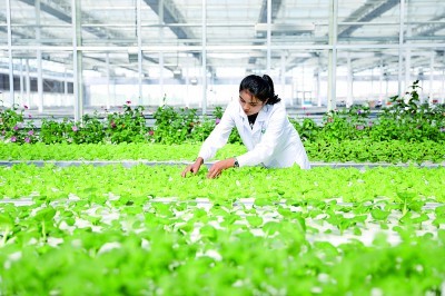 新疆维吾尔自治区70年发展成就斐然——同心共筑梦 天山绽新颜