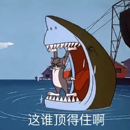 这谁顶得住啊(猫和老鼠 汤姆猫) 汤姆猫被大鲨鱼咬住,配文“这谁顶得住啊”的搞笑表情包表情包图片gif动图 - 求表情网,斗图从此不求人!