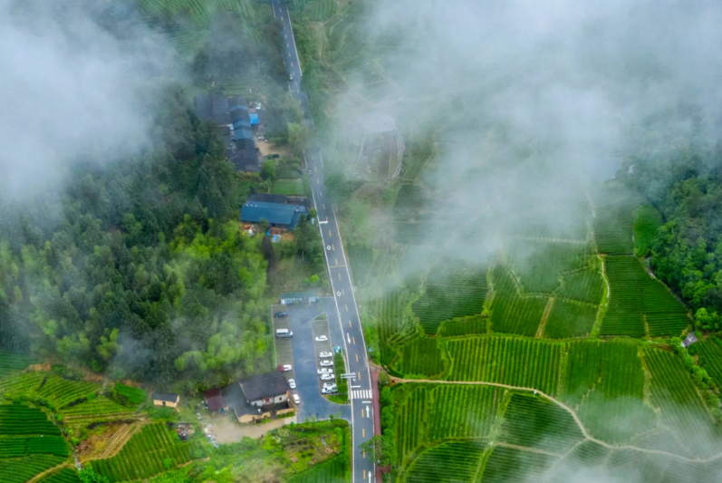 国家公园1号风景道寻茶路线 图源:大武夷文旅.png