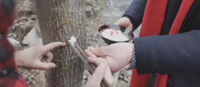 △图源:“文明恩施”微信公众号