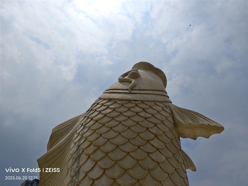 217克全球最轻折叠屏!vivo X Fold5全面评测:苹果双机党的全能搭子