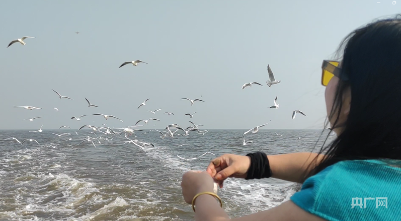 游客在渔船上喂海鸥（央广网见习记者 安适存 摄）