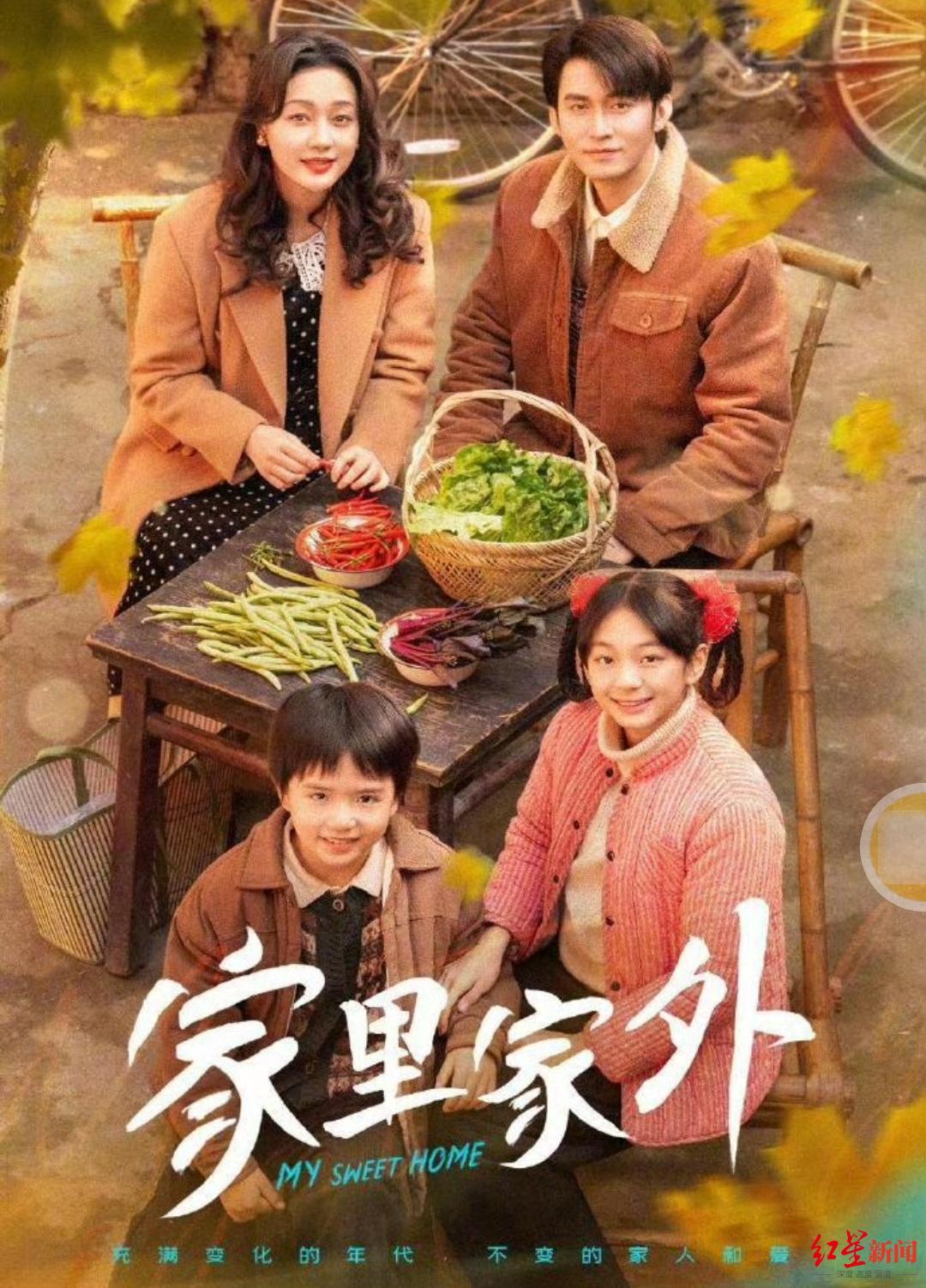 《家里家外》海报