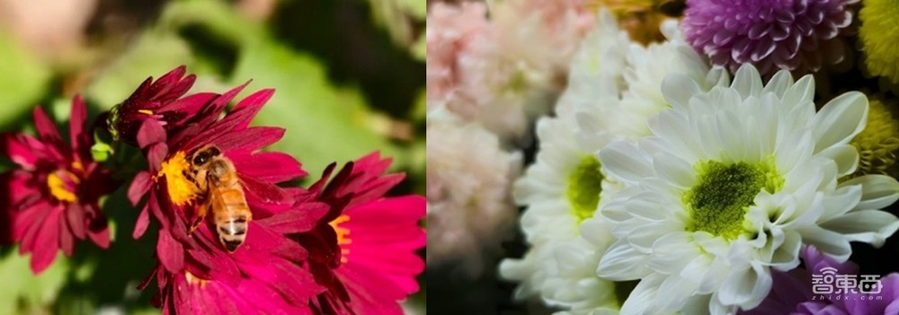 阿尔特曼:花得越多,AI越聪明,AI价格每年暴降90%