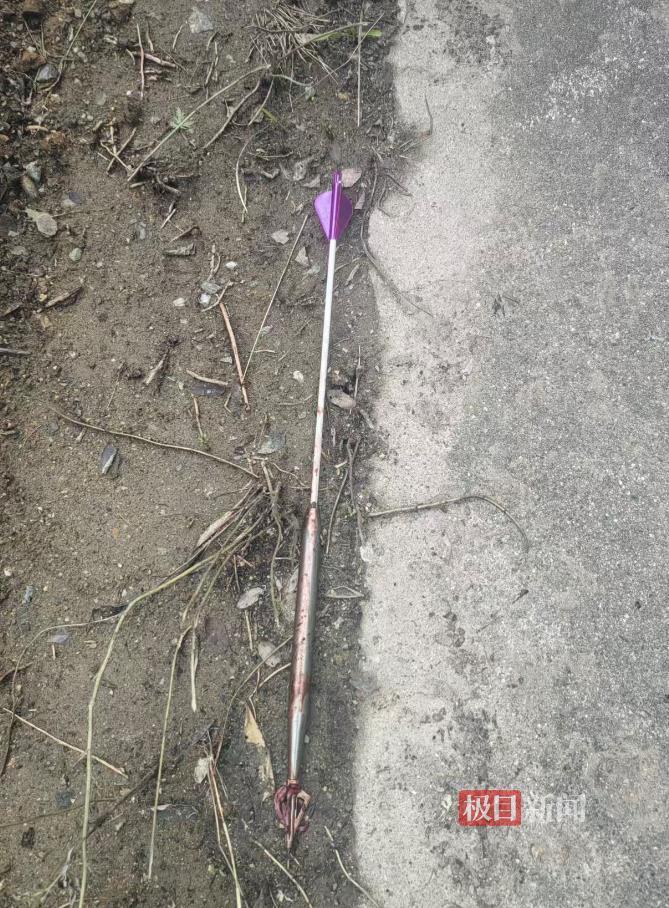 射杀野猪的箭(受访者供图)