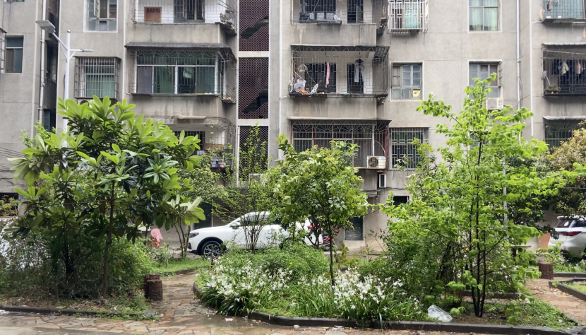 铊沉入水底，正等待被遗忘_https://www.izongheng.net_快讯_第11张