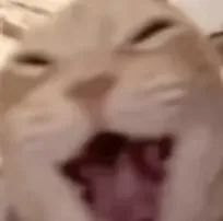 “0科技含量”的国货,靠掏苹果裆间赚了10亿?