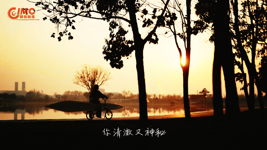 坝河“破茧”焕新,点亮城市滨水生活