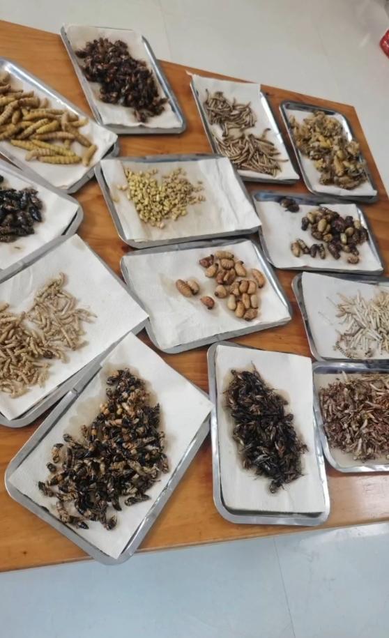 ▲兰山区钦知坊老菜馆老板在社交平台发布菜品“蛤蟆汤”的视频截图
