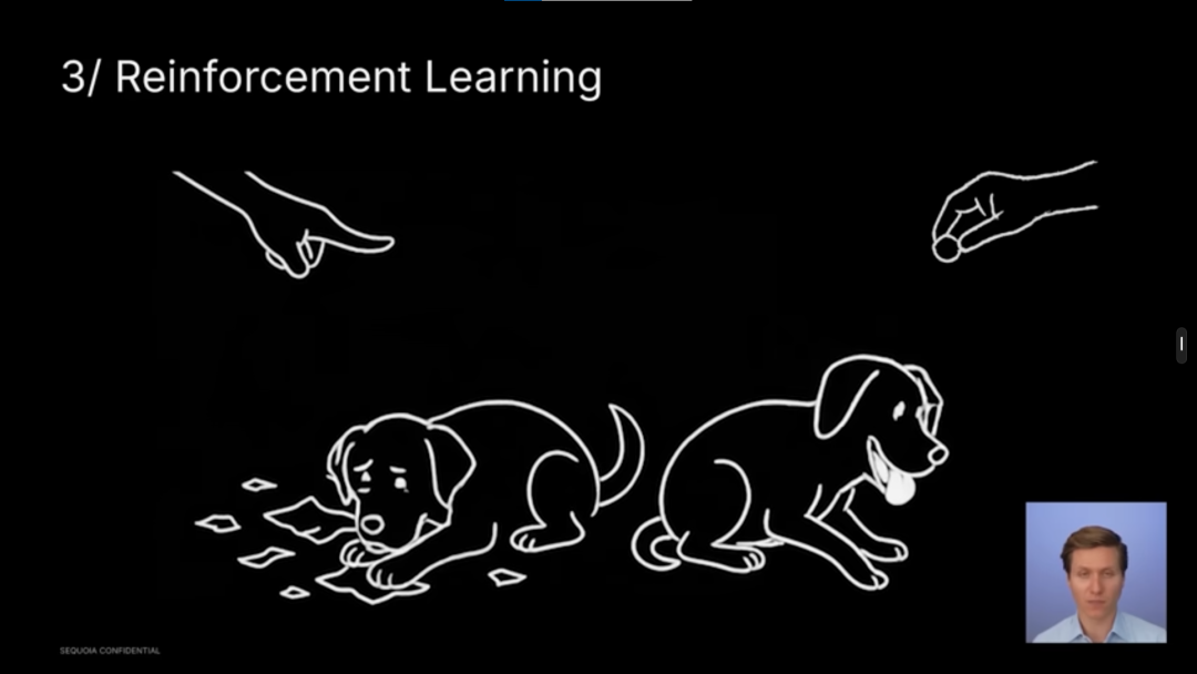 红杉美国:未来一年,这五个AI赛道我们重点关注