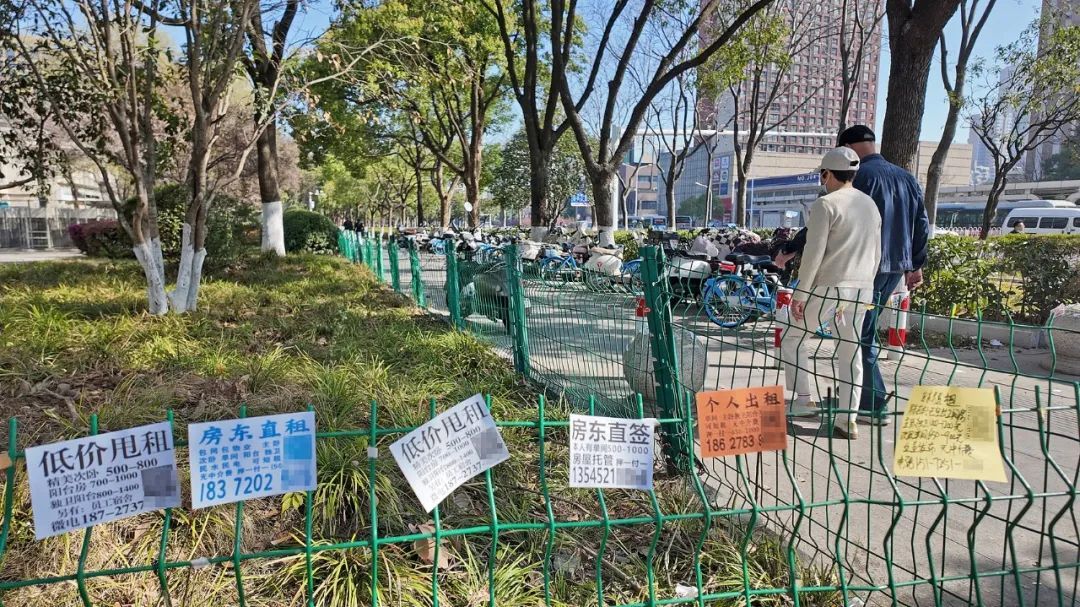 武汉:租房小广告“包围”光谷软件园资讯素材-ID:1558359905