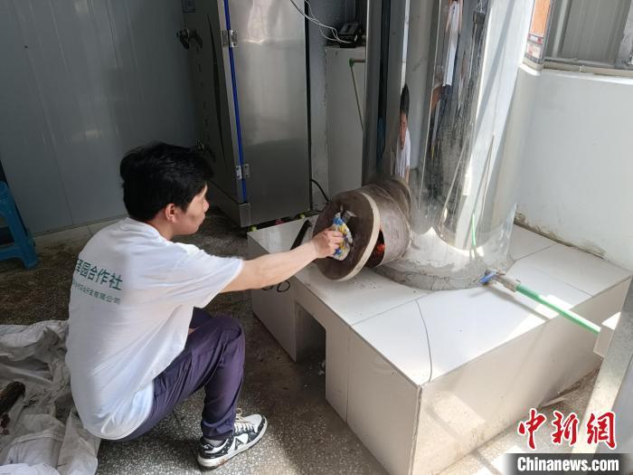图为竹稻酒酿造现场。受访者供图