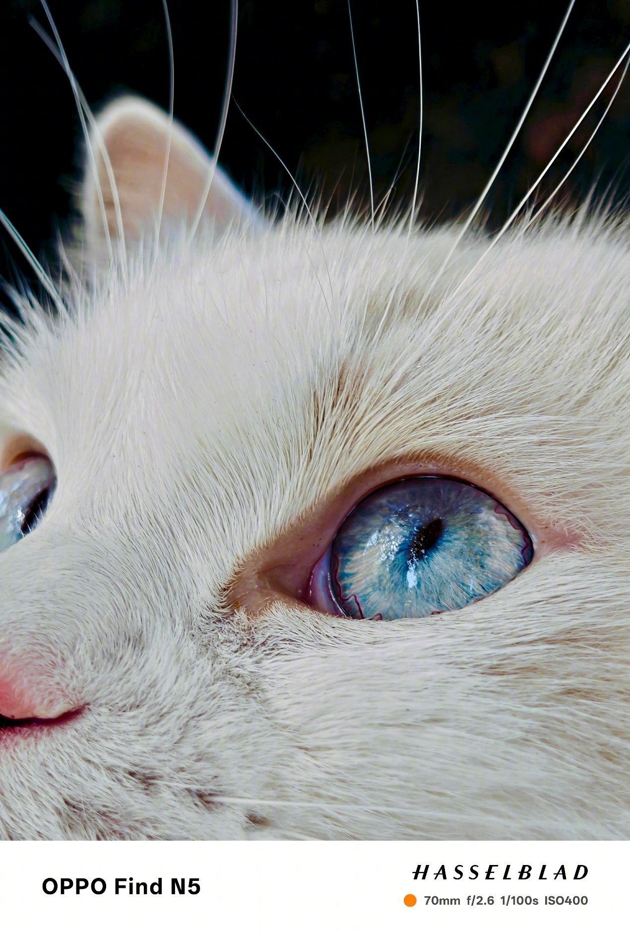 一直陪着我不管以什么身份图片抖音热门朋友圈文案背景微信_搜狐网, image size:1270x1876