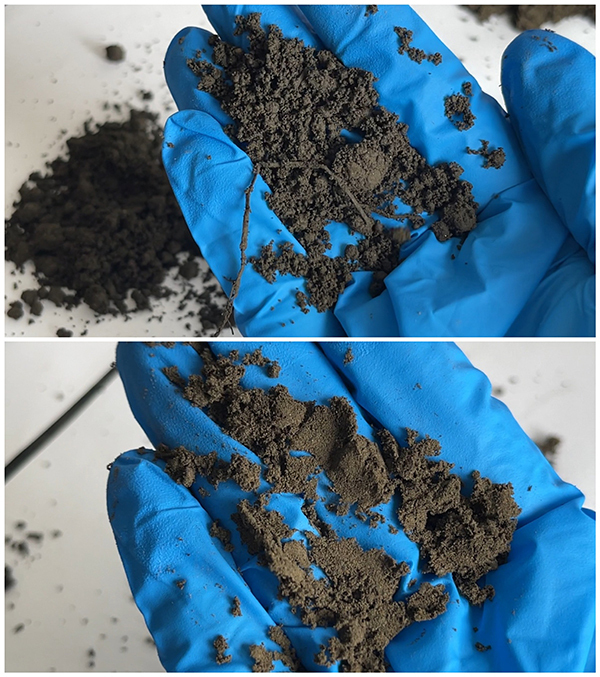 检出重金属超标的营养土样品,多呈黑渣状。