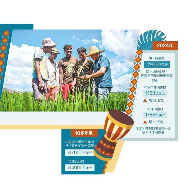 3月25日，在马达加斯加首都塔那那利佛附近的中国杂交水稻高产示范基地，中国农业技术专家胡月舫向当地稻农讲解水稻生长情况。新华社记者 李亚辉摄