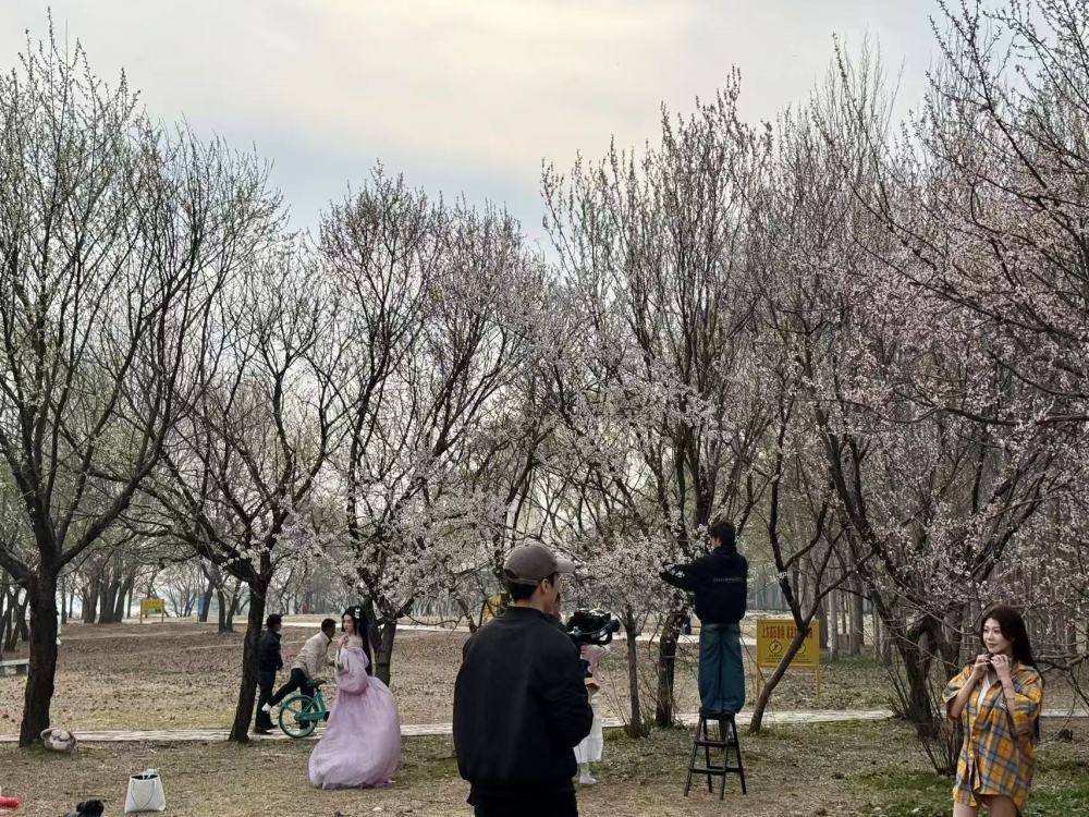 在沈阳浑河晚渡公园，游客正在拍照留念。新华社记者洪可润 摄